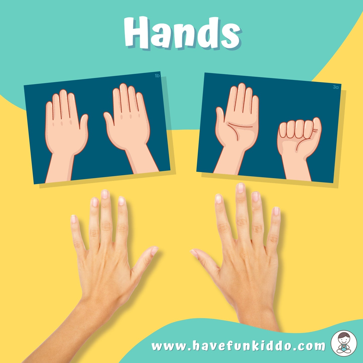 Hands cards