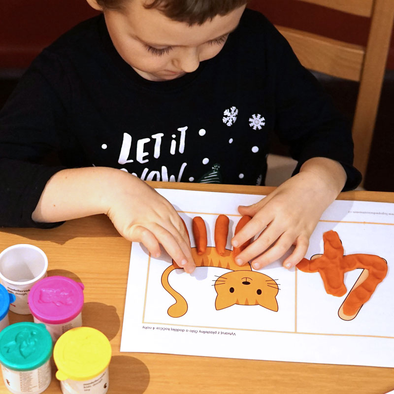 Fine motor skills