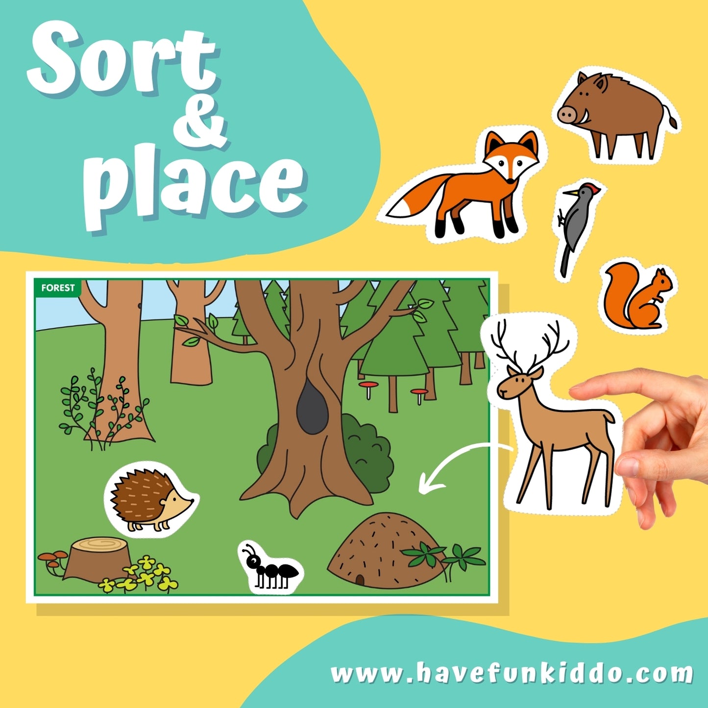 sorting templates with pictures